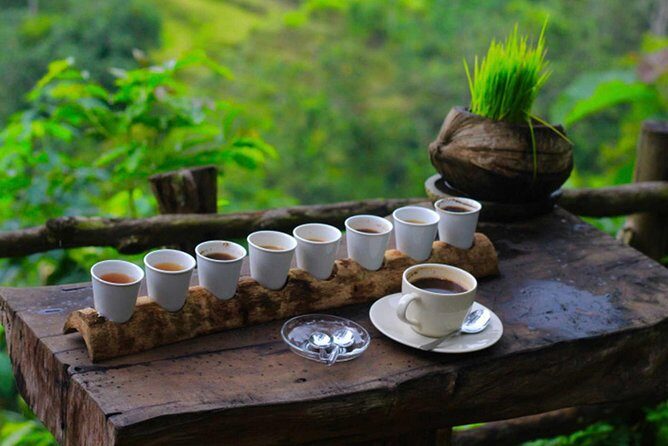 Ubud Private & Customize Day Tour - Tirta Empul Temple: the holy spring stop and how to act respectful