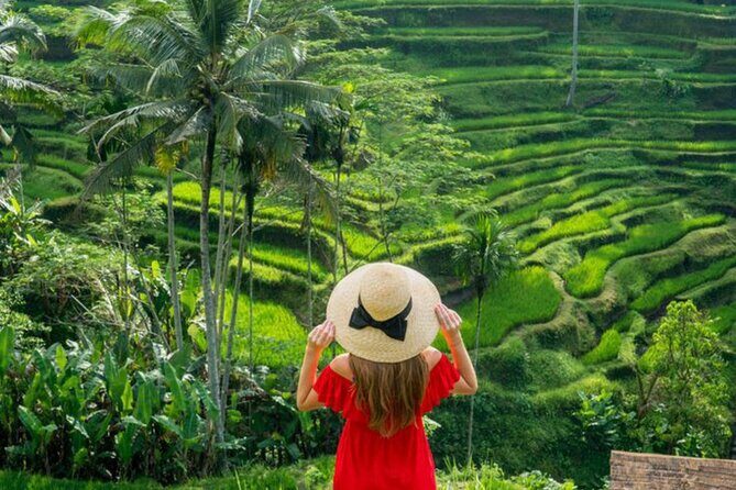 Ubud: Private Customized Highlights Tour - The real value in the price: $58.98 and what you avoid paying for