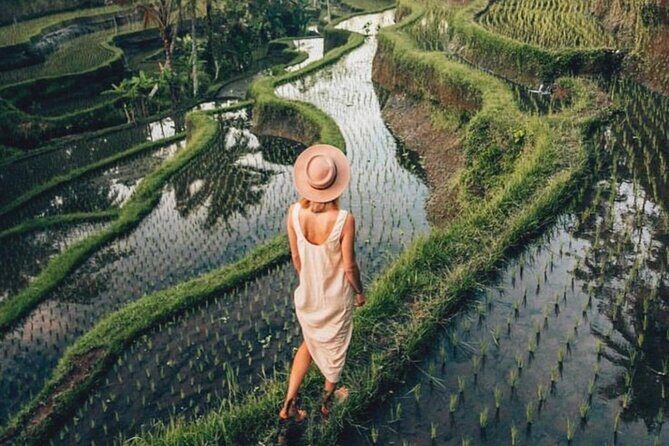 Ubud: Private Customized Highlights Tour - Spiritual Ubud: purification, holy water temples, and cave complexes