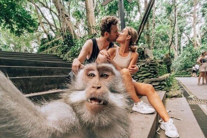 Ubud: Private Customized Highlights Tour - Rice terraces and ridge walks: scenic views without the chaos