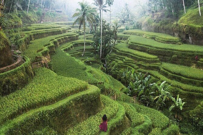 Ubud Private Full-Day Tour - Stop 4: Tirta Empul temple for holy spring water and ritual viewing
