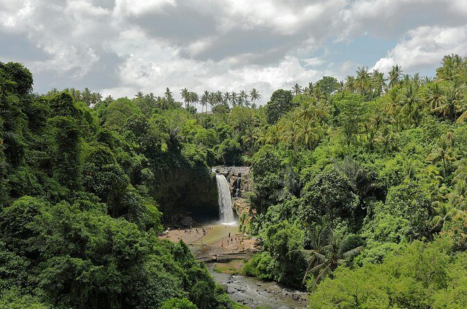 Ubud Private Nature and Temple Tour - Price and timing: is $30.55 actually good value?