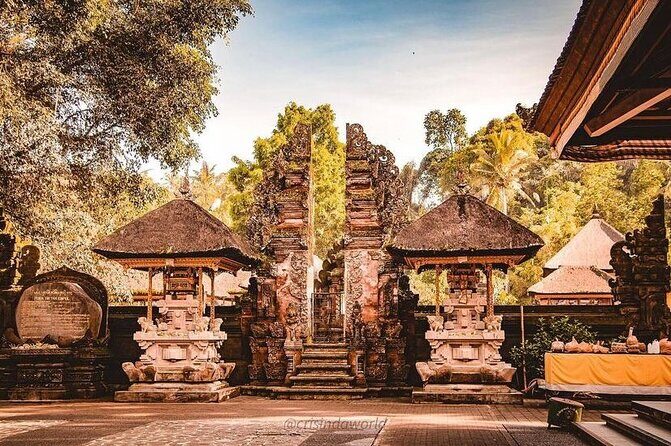 Ubud Private Tour - Monkey Forest Sanctuary: what you’re really there to see
