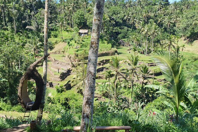 Ubud Private Tour - Included value: what $100 really covers (and what you shouldn’t forget)