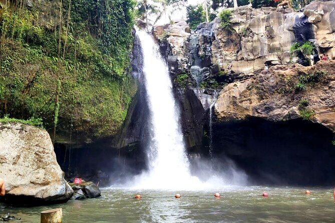 Ubud Private Tour : Best Of Ubud - Guided Tour - Lunch at DAlas Warung: Jungle Views and a Mental Reset