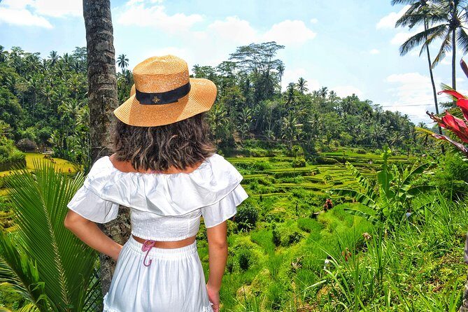 Ubud Private Tour : Choice Your Own Trip - Price and value: what $35 really covers