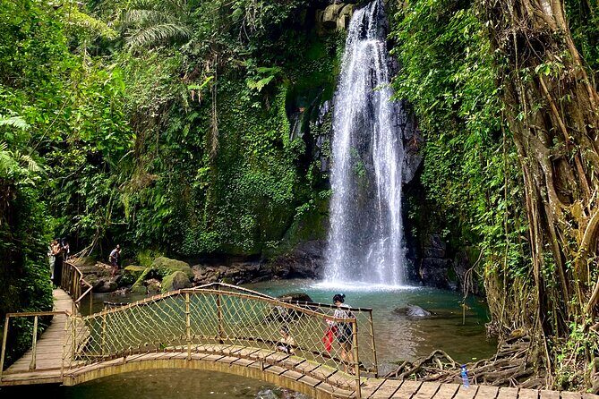 Ubud Private Tour: Monkey Forest, Rice Terrace, Temple, Waterfall - Tegalalang Rice Terraces: The Iconic Curve Into the Valley
