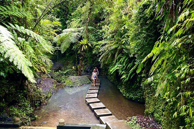 Ubud Private Tour: Monkey Forest, Rice Terrace, Temple, Waterfall - Tirta Empul Temple: Holy Water for Purification and Wishes