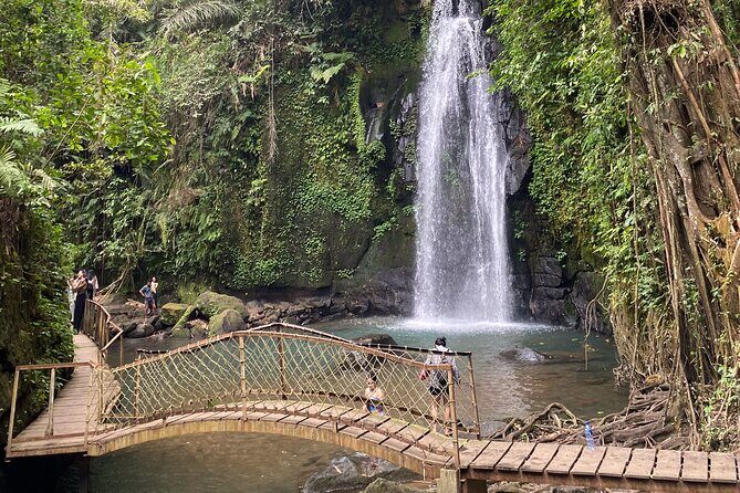 Ubud Private Tour: Monkey Forest, Rice Terrace, Temple, Waterfall - Guides Matter: Punctual, Flexible, and Photo-Friendly