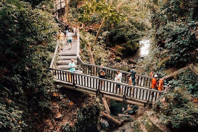 Ubud Private Tour: Monkey Forest, Rice Terrace, Temple, Waterfall - Sacred Monkey Forest Sanctuary: Temples and 700 Macaques