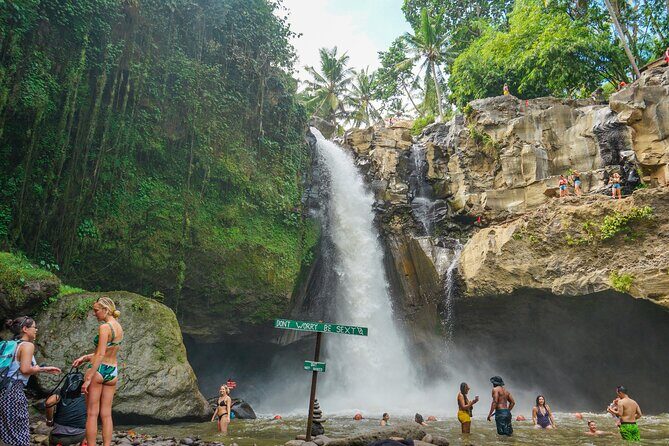 Ubud Private Tour: Monkey Forest - Tirta Empul Temple - Elephant Cave (Goa Gajah): cave relics, bathing pools, and gardens