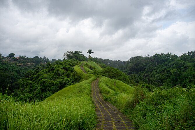 Ubud Private Tour: Monkey Forest - Tirta Empul Temple - Tegenungan Waterfall: a 20-meter drop and a second-level surprise