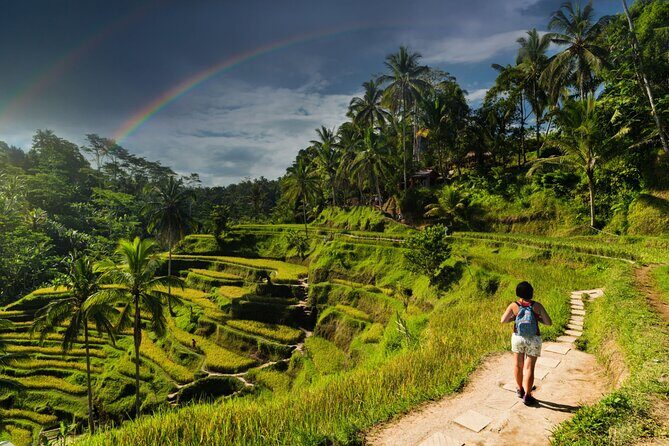 Ubud Private Tour: Monkey Forest - Tirta Empul Temple - Price and tickets: how to judge the $35 value fairly
