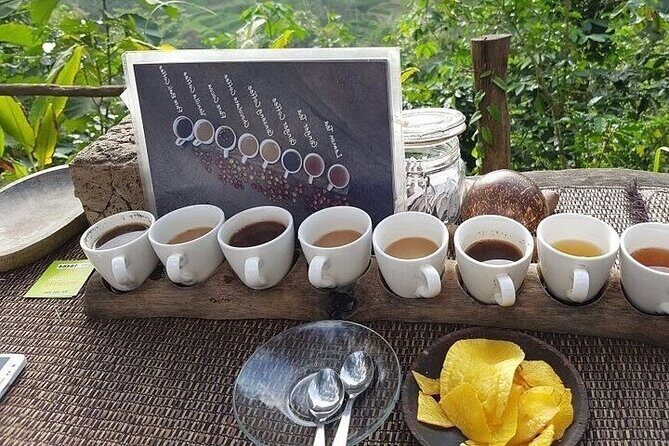 UBUD Private Tour – Rice Terrace, Jungle Swing & Hidden Waterfall - Pemulan Bali Coffee Plantation: Tasting Coffee and Understanding the Story