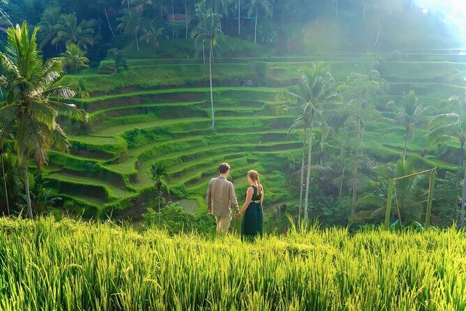 UBUD Private Tour – Rice Terrace, Jungle Swing & Hidden Waterfall - Tibumana Waterfall: Peaceful Jungle Water Without the Big Hassle