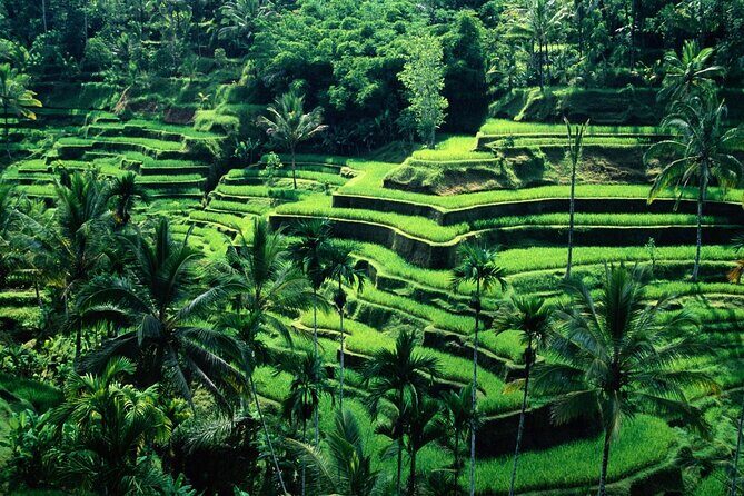 Ubud Private Tour : Ubud Temple and Authentic of Ubud - Why this Ubud plan works so well