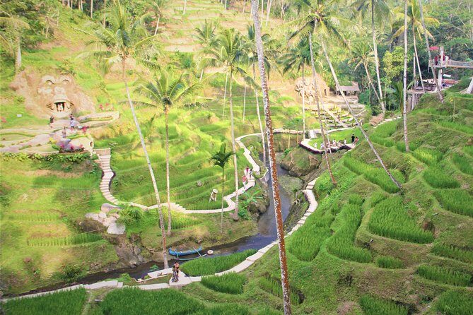 Ubud Private Tour : Ubud Temple and Authentic of Ubud - Tegalalang Rice Terraces: see subak in action (not just in photos)