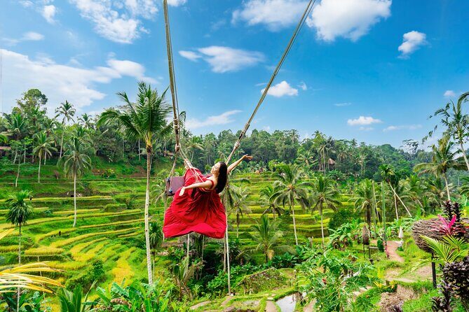 Ubud Private Tour: Waterfalls, Temple and Rice Terraces Swing - Key things I’d pencil in
