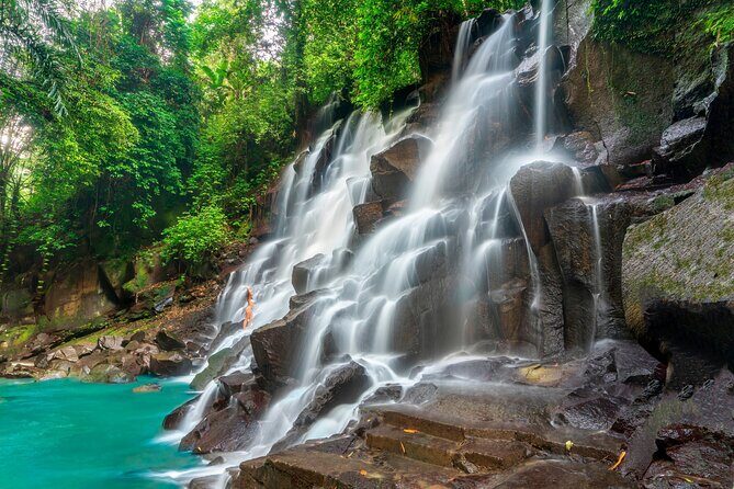 Ubud Private Tour: Waterfalls, Temple and Rice Terraces Swing - D Alas Warung lunch: rice-terrace views with real food time