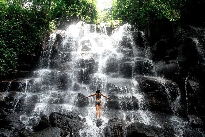 Ubud Private Tour: Waterfalls, Temple and Rice Terraces Swing - Pemulan Bali Coffee Plantation: a guided taste of coffee culture
