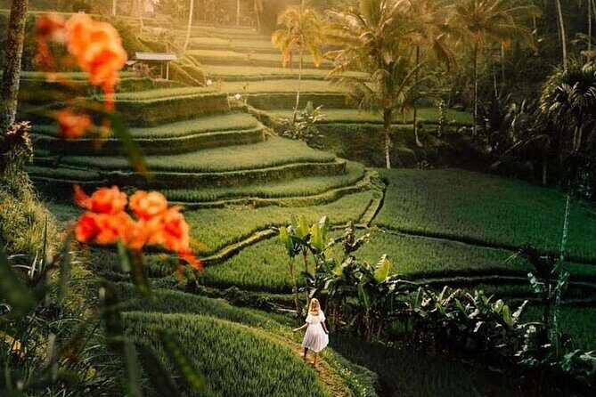 Ubud Private Tour - Waterfalls, Water Temple & Rice Terraces - What to Pack for a Waterfall-to-Temple Day That Actually Works