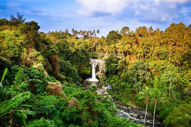 Ubud private tours - Ceking Rice Terrace: a scenic finish with real farming in view