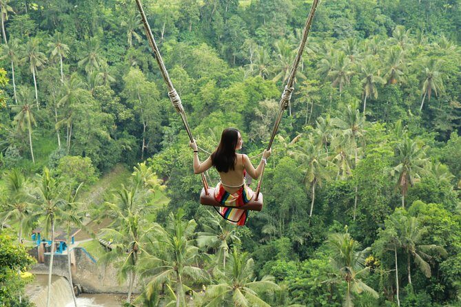 Ubud Private Tours with Jungle Swing Experience - all inclusive - Key highlights you’ll care about