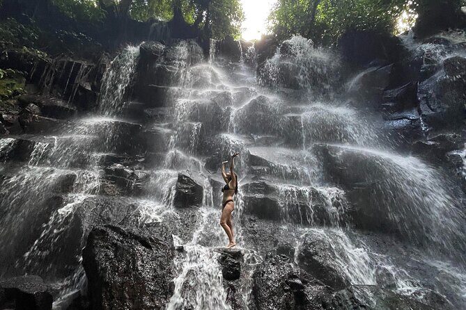 Ubud : Rice Terrace, water Temple and Waterfalls Private tour - Key Highlights You’ll Actually Care About