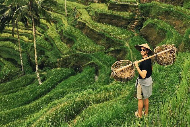 Ubud Sightseeing, Holy Water Temple & Waterfall - Key highlights that make this tour worth it