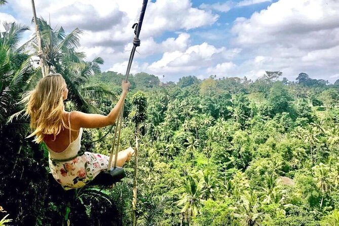 Ubud Sightseeing, Holy Water Temple & Waterfall - Dewa Putu Toris artisan art stop: a creative start before the scenery