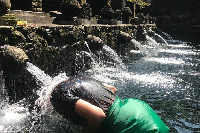 Ubud Sightseeing, Holy Water Temple & Waterfall - Tirta Empul Temple: visiting the holy water cleansing site respectfully