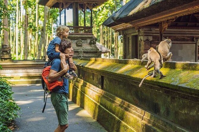Ubud Silver Jewelry Making Class with Temple, Monkey Forest - Tegenungan Waterfall: a bright reset and a possible swim