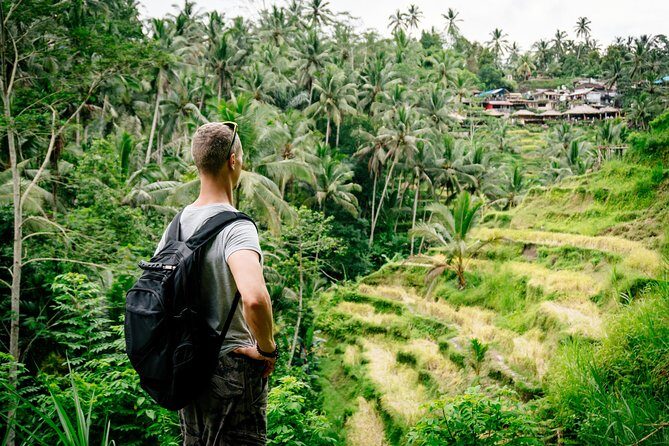 Ubud Small Group Tour: Monkey Forest, Tegalalang Rice Terraces and more - Tegalalang Rice Terraces: the short walk that feels bigger