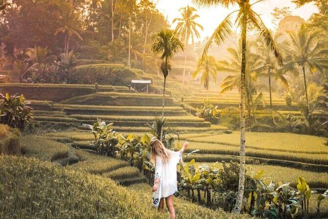 UBUD Spring Temple, Waterfall, Rice Terraces Private Tour - Stop 2: Tegalalang Rice Terraces for classic views and easy wandering