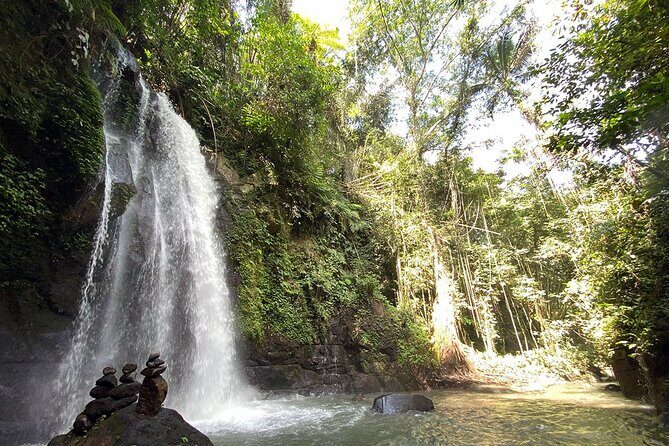UBUD Spring Temple, Waterfall, Rice Terraces Private Tour - Vegetarian option, kids, and who this private tour suits best