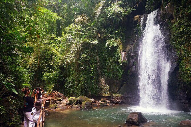 UBUD Spring Temple, Waterfall, Rice Terraces Private Tour - Pickup, start time flexibility, and how long you should plan for
