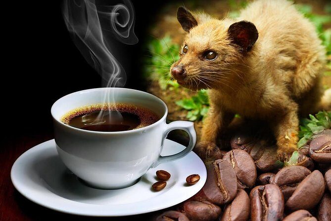 Ubud Surounding Tour - Stop 4: Segara Windhu coffee plantations and luwak coffee