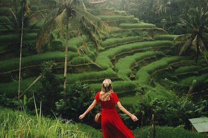 Ubud: Swing - Monkey Forest - Waterfall - Temple - Rice Terraces - Art Crafts - A Private Ubud Loop That Saves You From Schedule Headaches