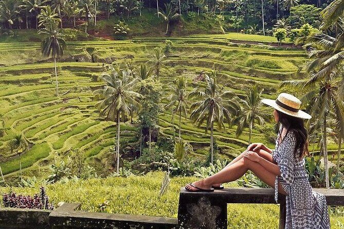 Ubud: Swing - Monkey Forest - Waterfall - Temple - Rice Terraces - Art Crafts - Sacred Monkey Forest Sanctuary: Cool Shade, Temples, and Monkey Rules