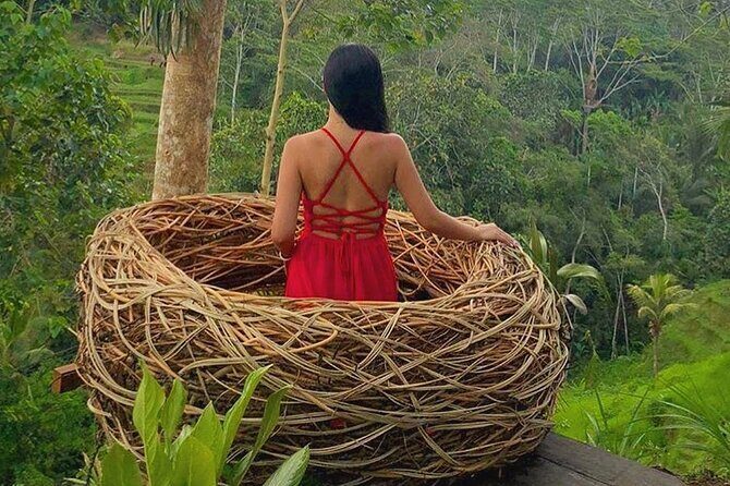 Ubud: Swing - Monkey Forest - Waterfall - Temple - Rice Terraces - Art Crafts - My Swing Bali: Jungle Canopy Photos With Less Hassle
