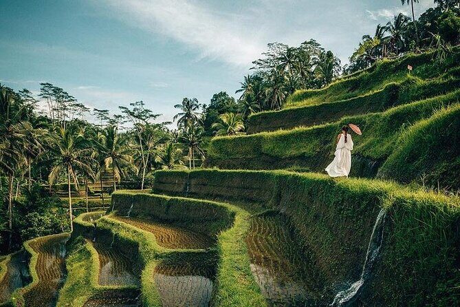 Ubud: Swing - Monkey Forest - Waterfall - Temple - Rice Terraces - Art Crafts - Tegallalang Rice Terraces: Walking Views and Farming Life in the Frame