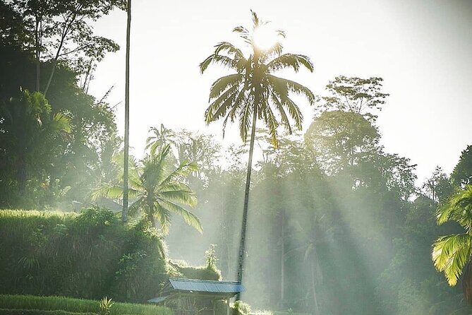 Ubud Temples, Waterfalls, Rice Terraces & Balinese Culture - Tukad Cepung Waterfall: Photos, Possible Swim, and Slippery Rocks
