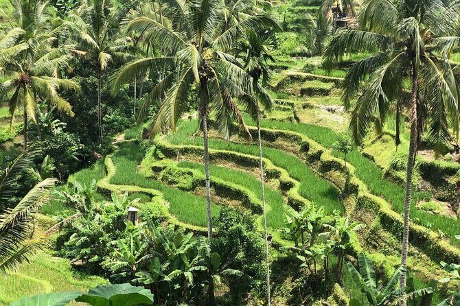 Ubud Temples, Waterfalls, Rice Terraces & Balinese Culture - How the Local English-Speaking Guide Improves the Whole Day