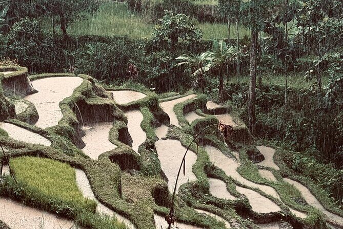 Ubud Top Tours to Discover Bali’s Cultural and Natural Wonders - Key things to know before you go