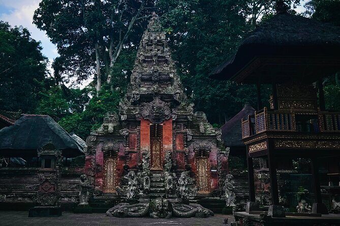 Ubud Top Tours to Discover Bali’s Cultural and Natural Wonders - Stop 4: Pakudui Village and Tegalalang rice terraces—your wide-view moment