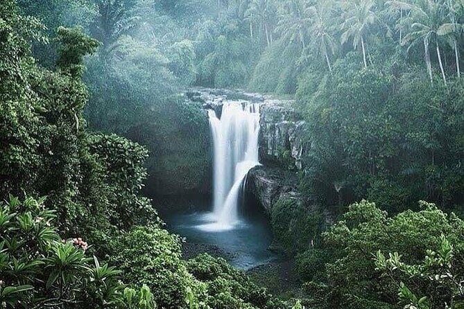 Ubud Top Tours to Discover Bali’s Cultural and Natural Wonders - Stop 5: Tirta Empul Temple—purification in holy spring waters