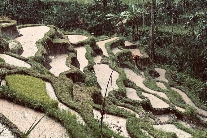 Ubud Top Tours to Discover Bali’s Cultural and Natural Wonders - Guide and driver quality: why names like Wayan, Widi, and Suli matter