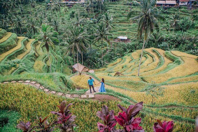 Ubud Tour - Best of Ubud - All Inclusive - Tegalalang Rice Terrace: Views Plus the Subak Irrigation Lesson