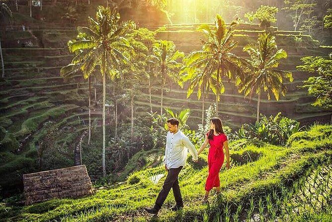 Ubud Tour : Best of Ubud with All inclusive - Door-to-door transfers from south Bali, minus the driving headache