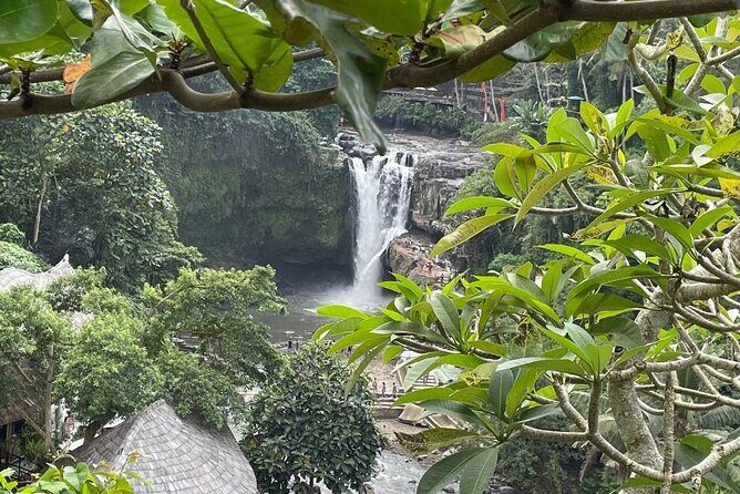 Ubud Tour - Highlight of Ubud - Traditional Tour - Stop 3: Sacred Monkey Forest Sanctuary and the Fun-Fact Advantage